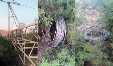 Direk hırsızları bölgeyi elektriksiz bıraktı