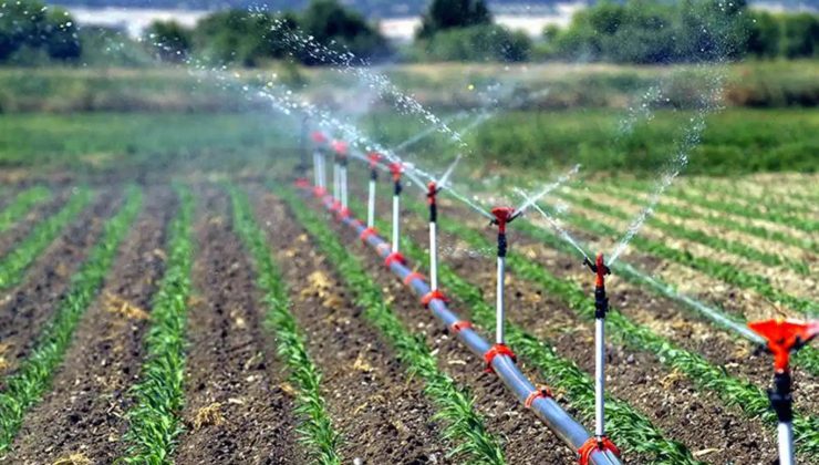 Tarımsal destekleme ödemeleri çiftçilerin hesaplarına aktarılıyor