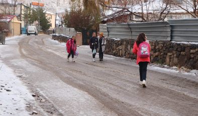 Bingöl Karlıova’da kar yağışı
