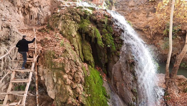 Mardin’in saklı cenneti Yardere Şelalesi’nden sonbaharda kartpostallık görüntüler