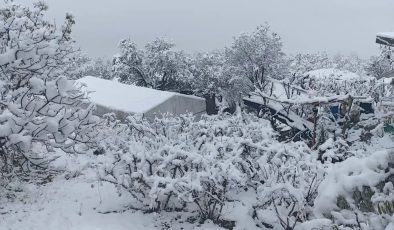 Batman’da kar nedeniyle üç ilçede eğitime ara verildi