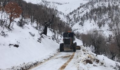 Diyarbakır’da Kar Alarmı