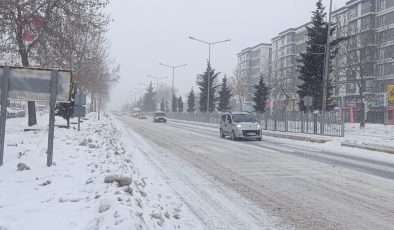 Diyarbakır Valisi Zorluoğlu’ndan Kar Eleştirilerine Yanıt Verdi