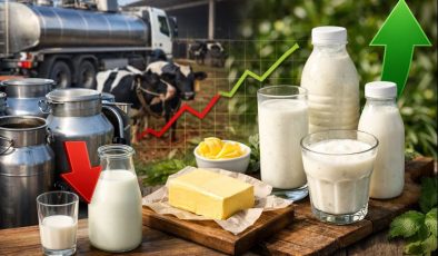 TÜİK Açıkladı: Kasımda Süt Toplama Azaldı, Ayran ve Kefirde Artış Dikkat Çekti