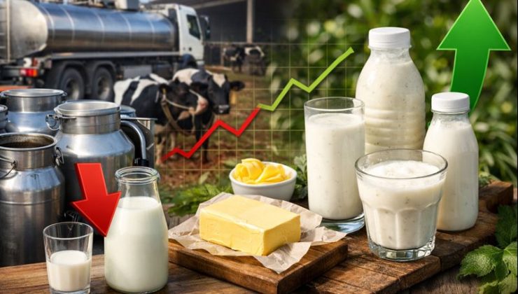 TÜİK Açıkladı: Kasımda Süt Toplama Azaldı, Ayran ve Kefirde Artış Dikkat Çekti