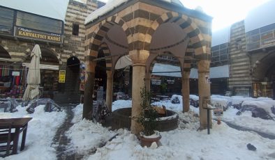 Hasan Paşa Hanı Esnafından Sokak Hayvanlarına Gönüllü Destek