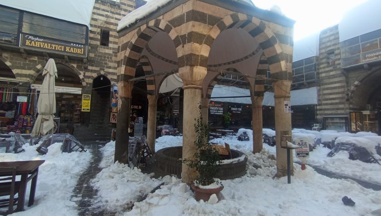 Hasan Paşa Hanı Esnafından Sokak Hayvanlarına Gönüllü Destek