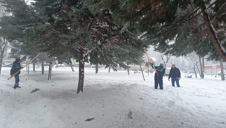 Kayapınar’da Kar Mesaisi: Binlerce Ağaç Zarar Görmeden Kurtarıldı