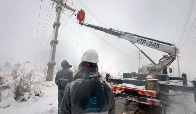 Dicle Elektrik Ekipleri -20 Derecede Kesintisiz Enerji İçin Sahada