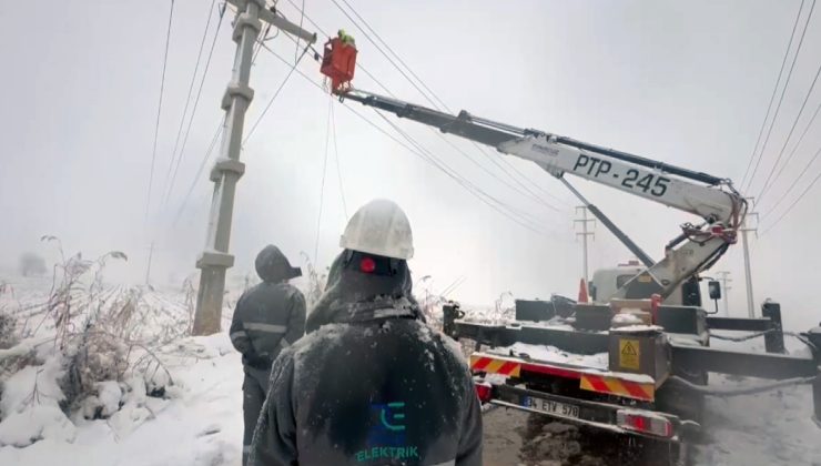 Dicle Elektrik Ekipleri -20 Derecede Kesintisiz Enerji İçin Sahada
