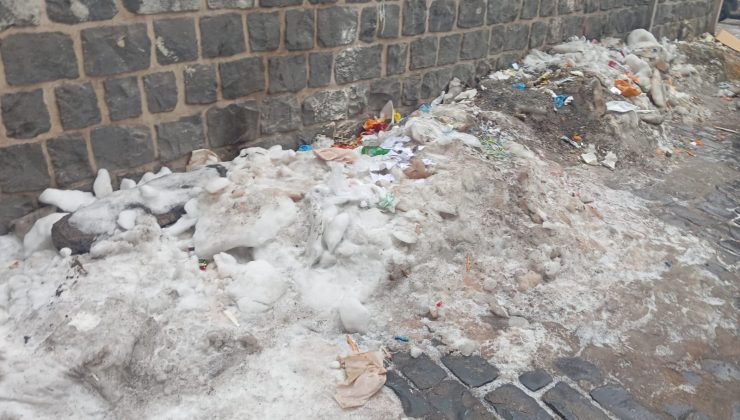 Diyarbakır Sur’da Çöpler Tepki Çekti: Tarihi Sokaklarda Koku Sorunu