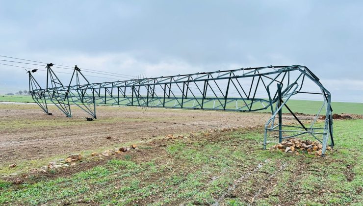 Dicle Elektrik Devrilen Direklere Rağmen İlçeye 5 Dakikada Enerji Verildi