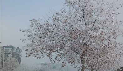 Diyarbakır’da Yoğun Sis Görüş Mesafesi 20 Metreye Düşürdü Uçuşlar Aksadı