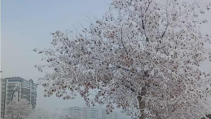 Diyarbakır’da Yoğun Sis Görüş Mesafesi 20 Metreye Düşürdü Uçuşlar Aksadı
