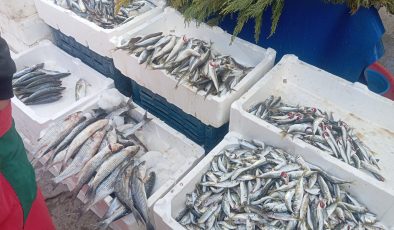 Diyarbakır’da Dondurucu Hava Balık Fiyatları Vurdu