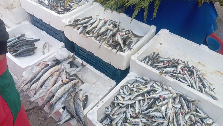 Diyarbakır’da Dondurucu Hava Balık Fiyatları Vurdu