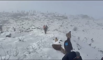 Diyarbakır’da Kayıp Nimet Kılıç İçin Dev Arama Operasyonu