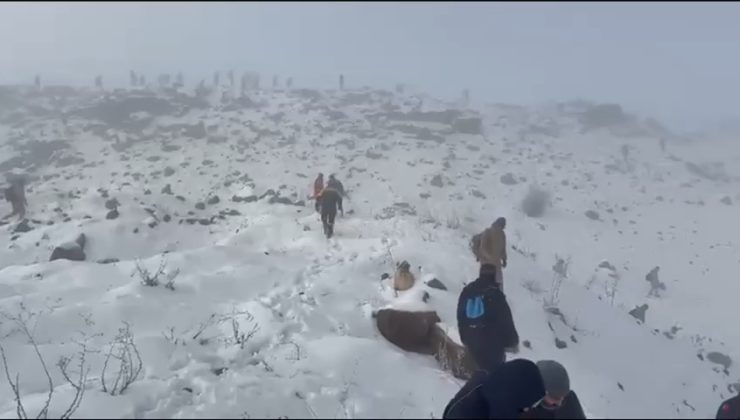 Diyarbakır’da Kayıp Nimet Kılıç İçin Dev Arama Operasyonu