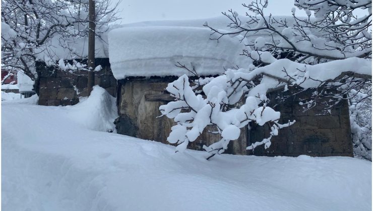 Bitlis’te evler kara gömüldü