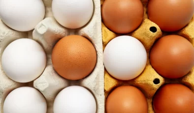 Yumurtanın Doğrudan Satışına Yeni Düzenleme