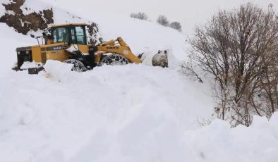 Martta kar sürprizi: 3 ilde 103 yerleşim yerine ulaşım sağlanamıyor