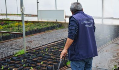 Kayapınar’da Doğaya Yatırım: 1000 Meşe Fidesi Toprakla Buluşacak