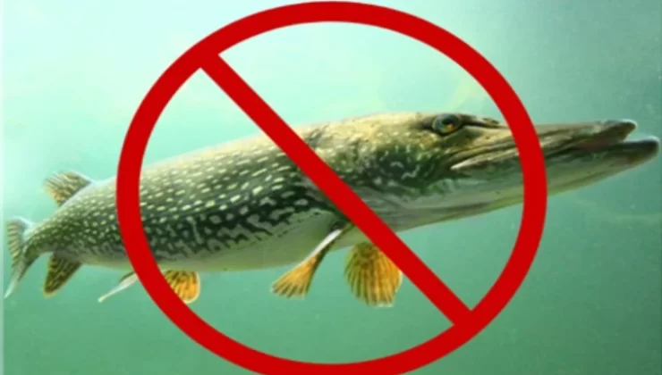 Diyarbakır’da Av Yasağı Öncesi Jandarmadan Bilgilendirme