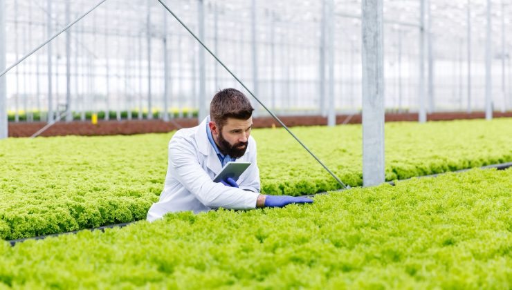 Dünya ve Türkiye’de sürdürülebilir tarımın geleceği