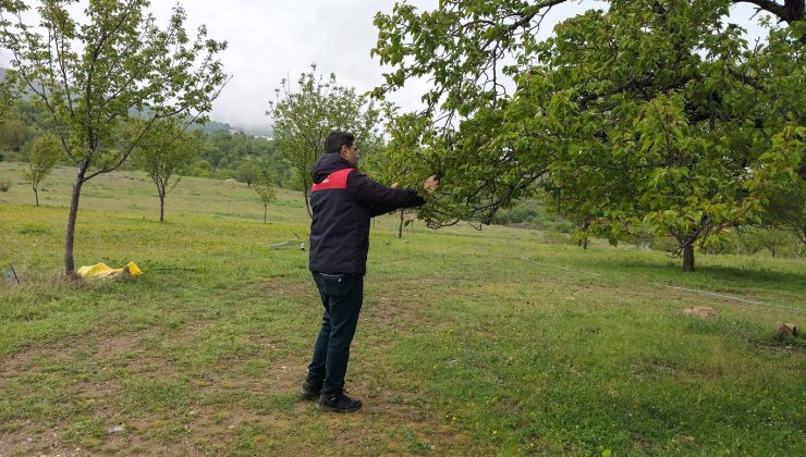 Malatya’da dolu sonrası hasar tespit çalışmalarına başlandı
