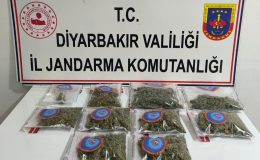 Diyarbakır’da Eş Zamanlı Operasyon Fırtınası