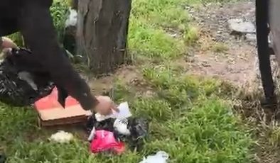 Gazi Köşkü Çevresinde Çevre Duyarsızlığı: Piknik Alanı Çöplüğe Döndü