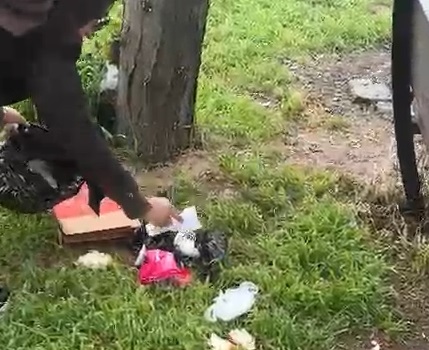 Gazi Köşkü Çevresinde Çevre Duyarsızlığı: Piknik Alanı Çöplüğe Döndü