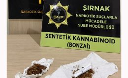 Şırnak’ta 610 milyon TL’lik kaçakçılık operasyonları