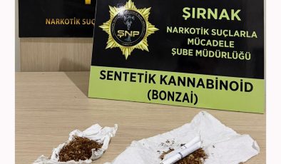 Şırnak’ta 610 milyon TL’lik kaçakçılık operasyonları