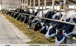 IPARD III kapsamında 218 projeye 2,5 milyar TL hibe desteği