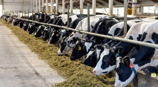 IPARD III kapsamında 218 projeye 2,5 milyar TL hibe desteği