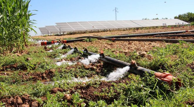 Tarımsal destekleme ödemeleri çiftçilerin hesaplarına aktarılıyor 