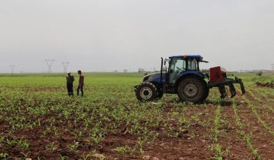 Tarımsal destek ödemesi çiftçilerin hesaplarına aktarılıyor