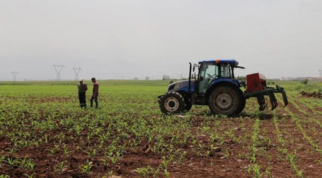 Tarımsal destek ödemesi çiftçilerin hesaplarına aktarılıyor