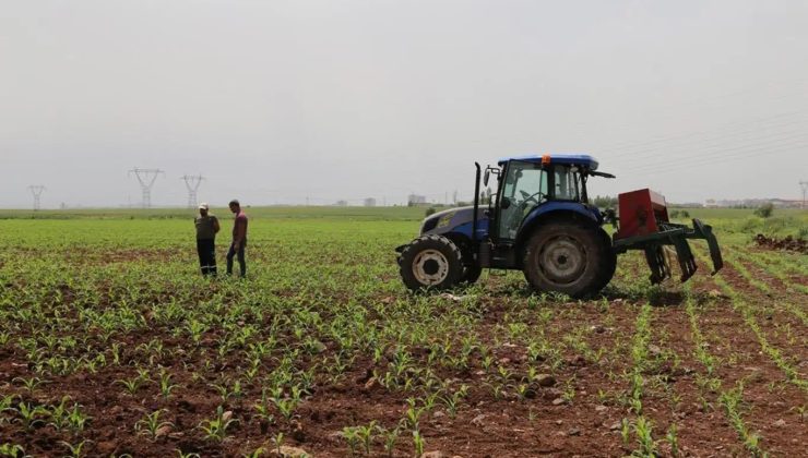 Tarımsal destek ödemesi çiftçilerin hesaplarına aktarılıyor