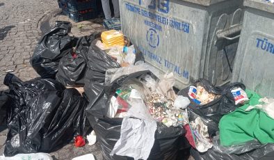 Diyarbakır’ın Turistik ilçesi Çöplüğe döndü