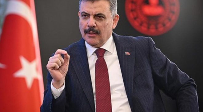Bakan Çiftçi: Sahipsiz hayvanların yüzde 80’i toplandı