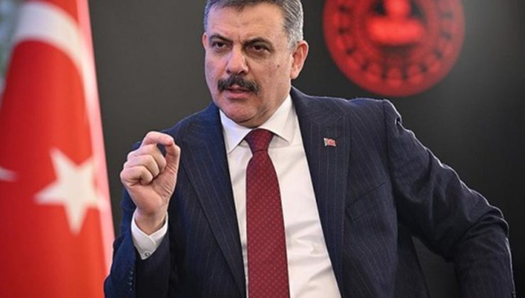 Bakan Çiftçi: Sahipsiz hayvanların yüzde 80’i toplandı
