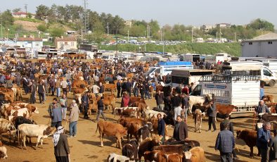 Diyarbakır Canlı Hayvan Borsası’nda Tepki: Eksikler Giderilmeyi Bekliyor