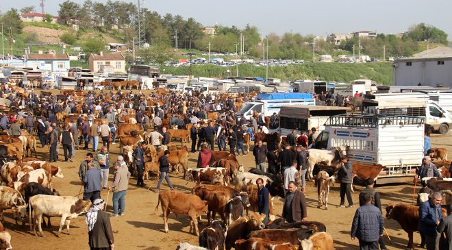 Diyarbakır Canlı Hayvan Borsası’nda Tepki: Eksikler Giderilmeyi Bekliyor