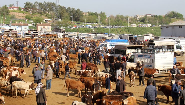 Diyarbakır Canlı Hayvan Borsası’nda Tepki: Eksikler Giderilmeyi Bekliyor