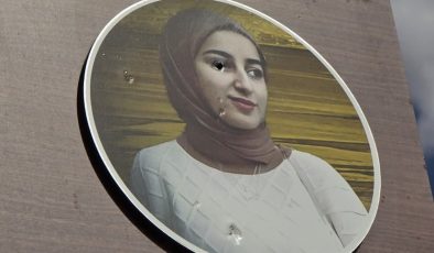 Silvan’da Rojin Kabaiş Parkı Tabelasına Silahlı Saldırı: Fotoğraf Kurşunların Hedefi Oldu