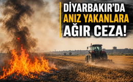 Diyarbakır’da Anız Yakanlara Ağır Ceza