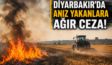 Diyarbakır’da Anız Yakanlara Ağır Ceza