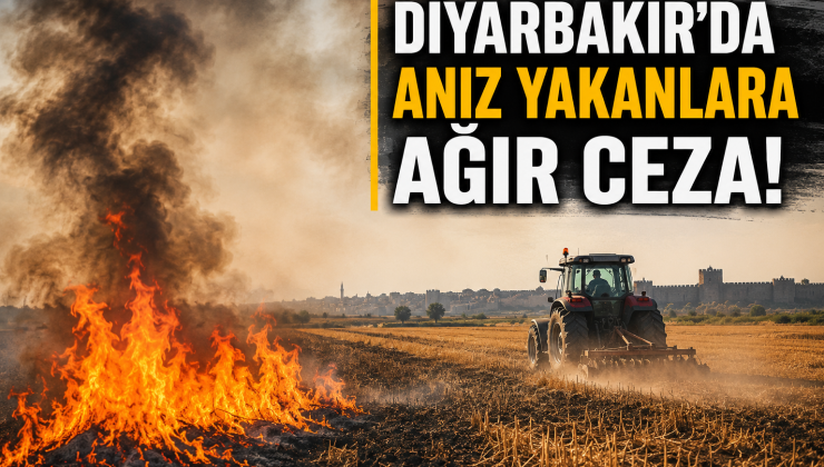 Diyarbakır’da Anız Yakanlara Ağır Ceza